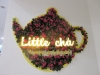 littlecha_01