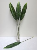 43.5” Lg. Cordyline Leaf