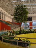 Belconnen Aquatic Centre – Large Tree Planter – 1