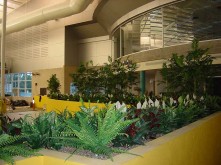 Belconnen Aquatic Centre – Large Tropical Planter – 1