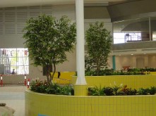 Belconnen Aquatic Centre – Large Tree Planter – 2