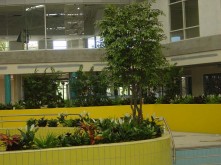 Belconnen Aquatic Centre – Large Tree Planter – 3
