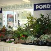 commercial_display_ponds_pumps02