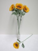 Single Large Sunflower
