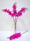 ‘Fresh Look’ Orchid Spray (Magenta)