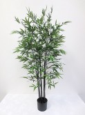 5′ Mini Black Bamboo Tree