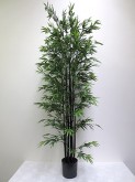 7′ Mini Black Bamboo Tree