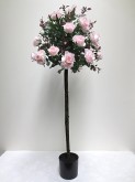55″ Rose Tree w/pot