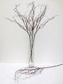 41” Coated Twig Branch (Brown)