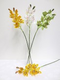 37” Cymbidium Orchid Spray