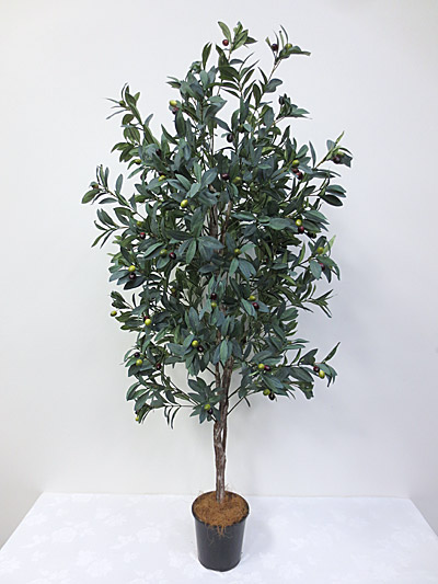 Olive N/S Tree