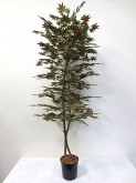 Maple N/S Tree (Green/Brown)