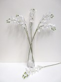 24” Real Touch Dendrobium Orchid Spray