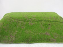 Moss Carpet