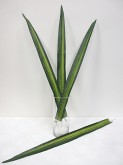 Single Flax Leaf