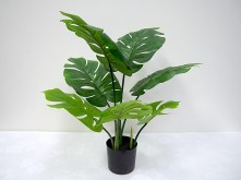 2′ Potted Monstera Plant
