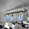 Office Display - overhead planters with hanging greenery