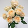 H-8366 - Rose Bush x12 Flowers (Champagne)