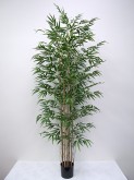 6.5′ Potted Bamboo Tree