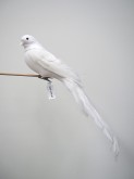 Long Tail Bird Ornament w/Clip
