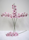 35” ‘Fresh Look’ Butterfly Orchid Spray (Lt Pink)