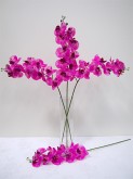 35” ‘Fresh Look’ Butterfly Orchid Spray (Purple)