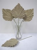 Fan Palm Leaf (Dk. Beige)
