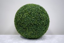 60cm Euonymus Ball