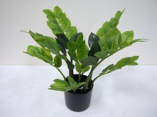 42cm Potted Zamiifolia Plant