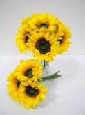 Sunflower Bundle x 6 Flrs