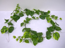 6′ ‘Soft Touch’ Pothos Garland