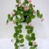 H-2391 - Geranium Hanging Bush (Pink)