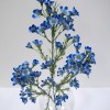 H-8923 - Waxflower Spray (Blue)