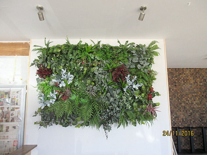 Restaurant Display – Green Wall